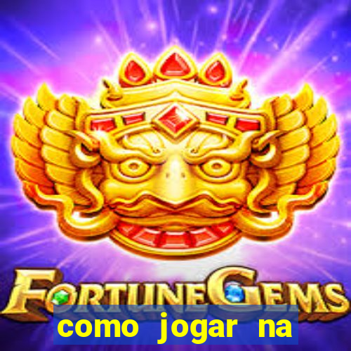 como jogar na seninha online